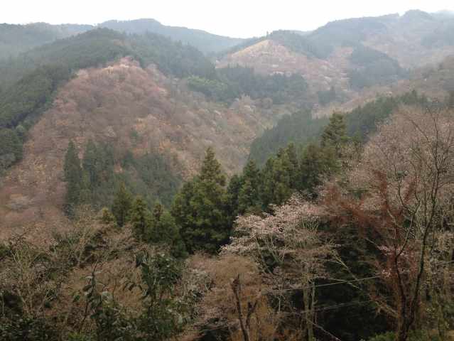 中千本