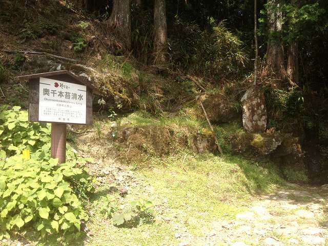 奥千本苔清水