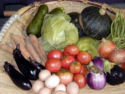 無農薬野菜の写真